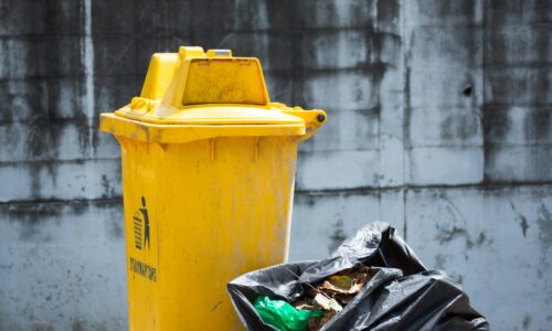 Waste