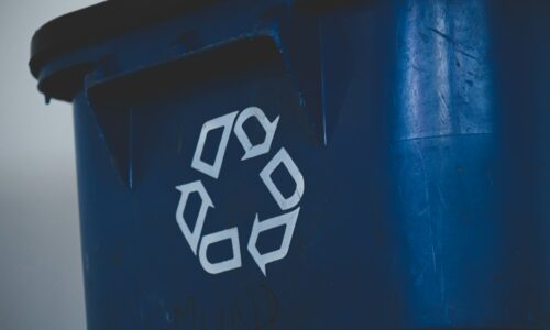 Bin