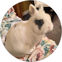 Kathy Corcoran profile picture